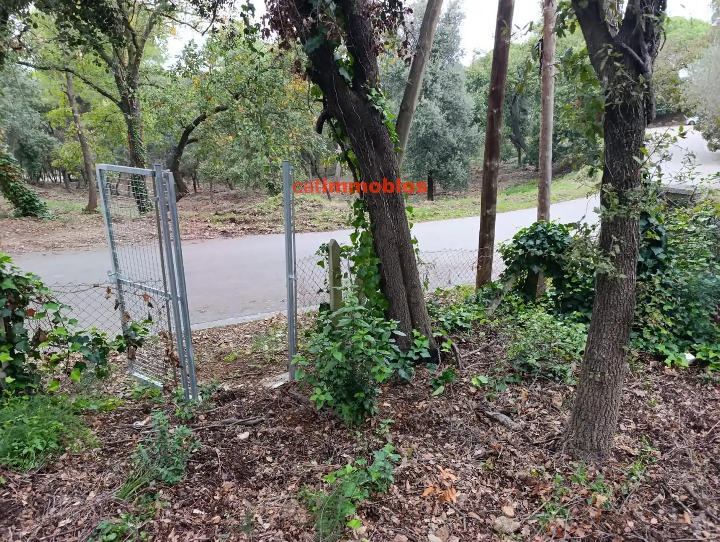 Terreny residencial en venda a Rosa Mariné, imagen 10