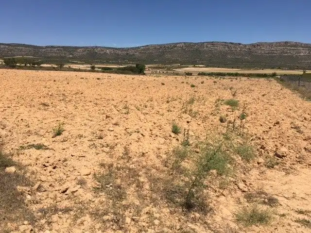 Terrain rustique à vendre à Almansa, imagen 5