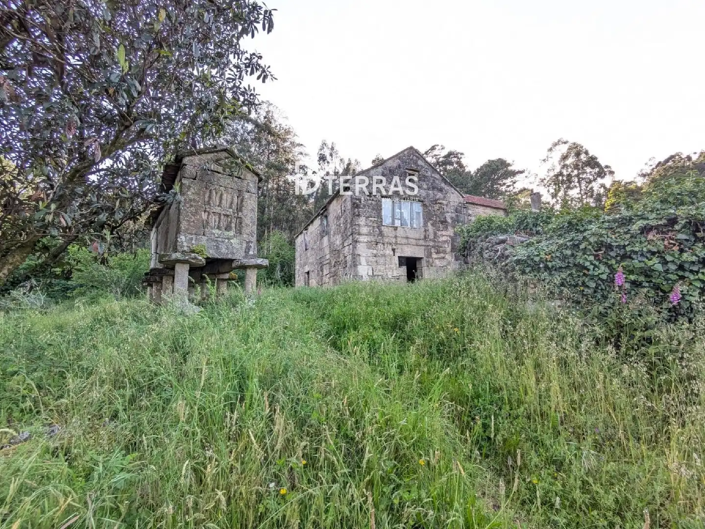 Exterior view of Houses for sale in Vilaboa  with Private garden