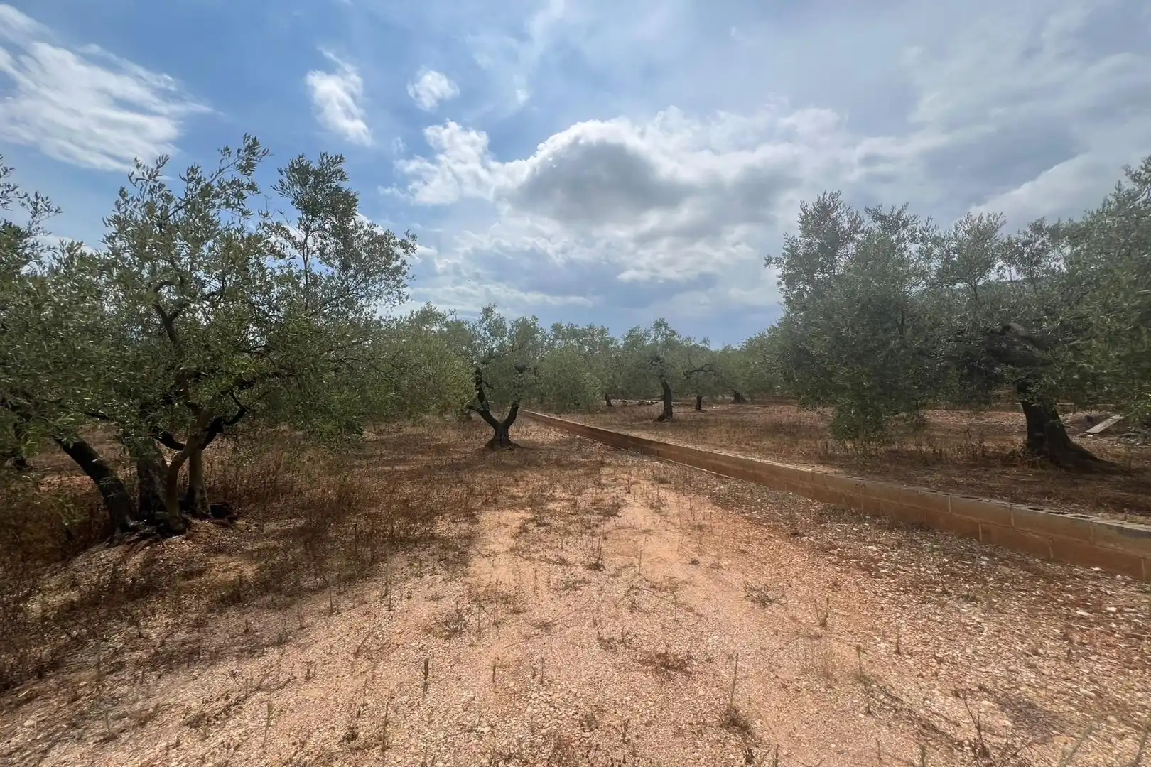 Finca rústica en venda en Freginals