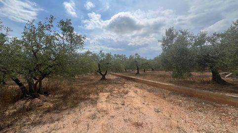 Photo 4 of Country homes for sale in Freginals, Tarragona