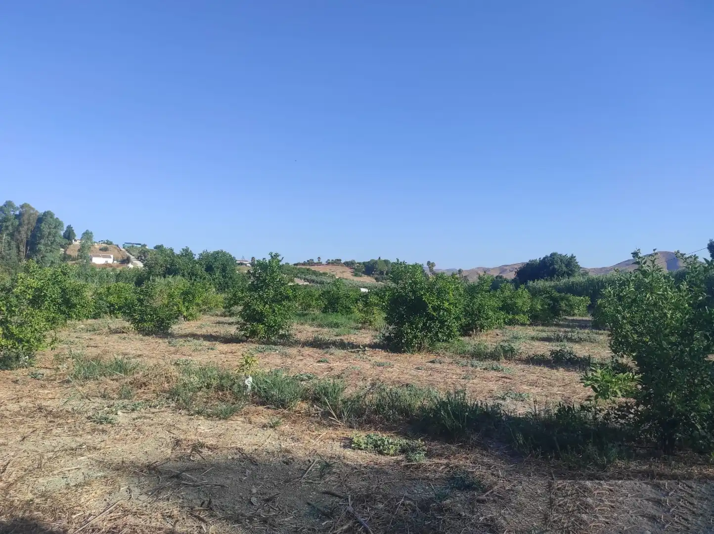 Terreno rustico in vendita a Villafranco del Guadalhorce, imagen 10