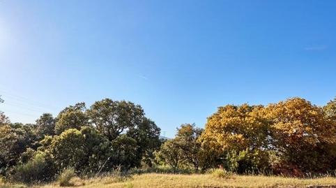 Photo 4 of Residential for sale in Paseo Embajador, Ciudalcampo, Madrid