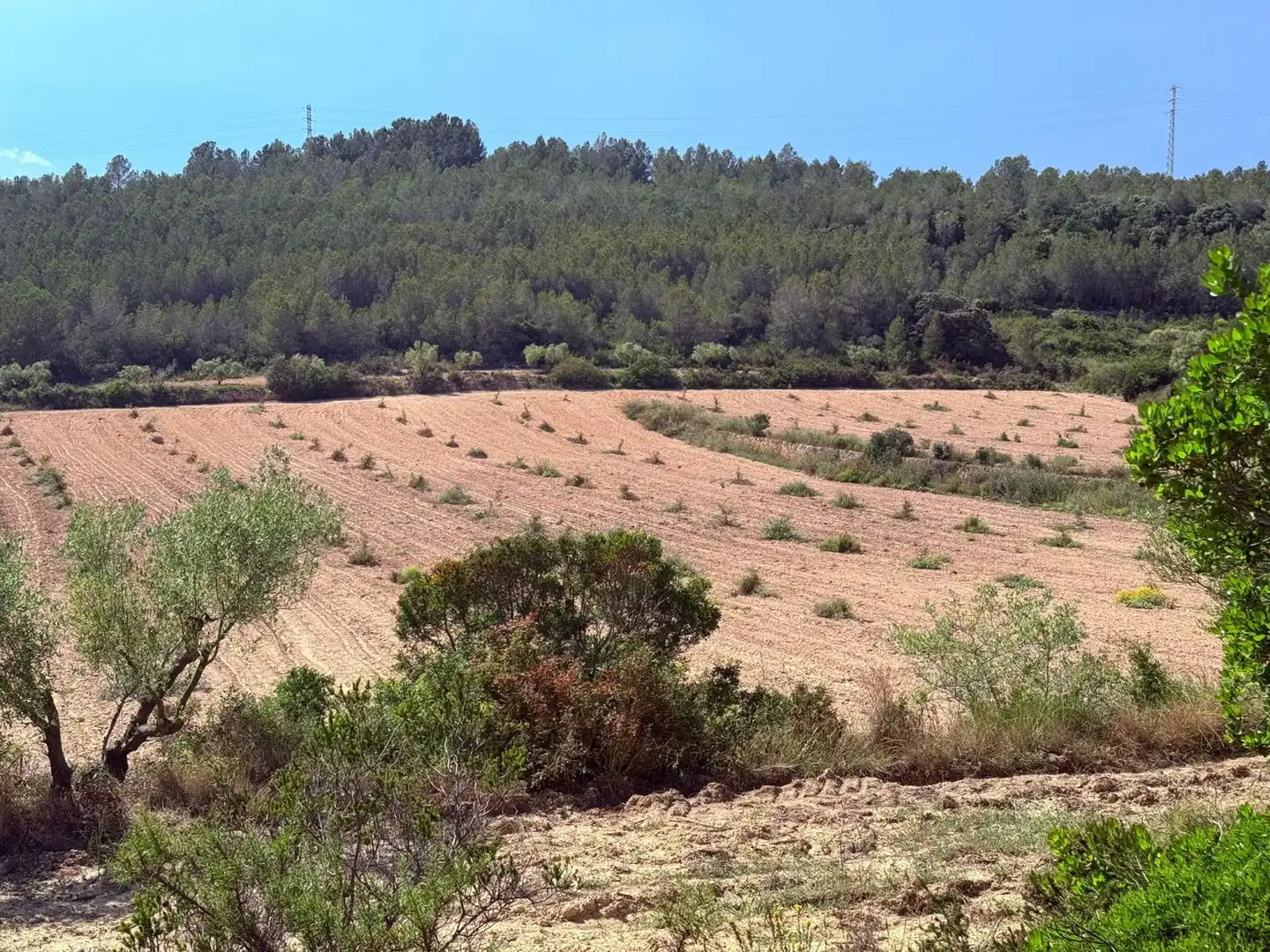 Finca rústica en venda a Vespella de Gaià