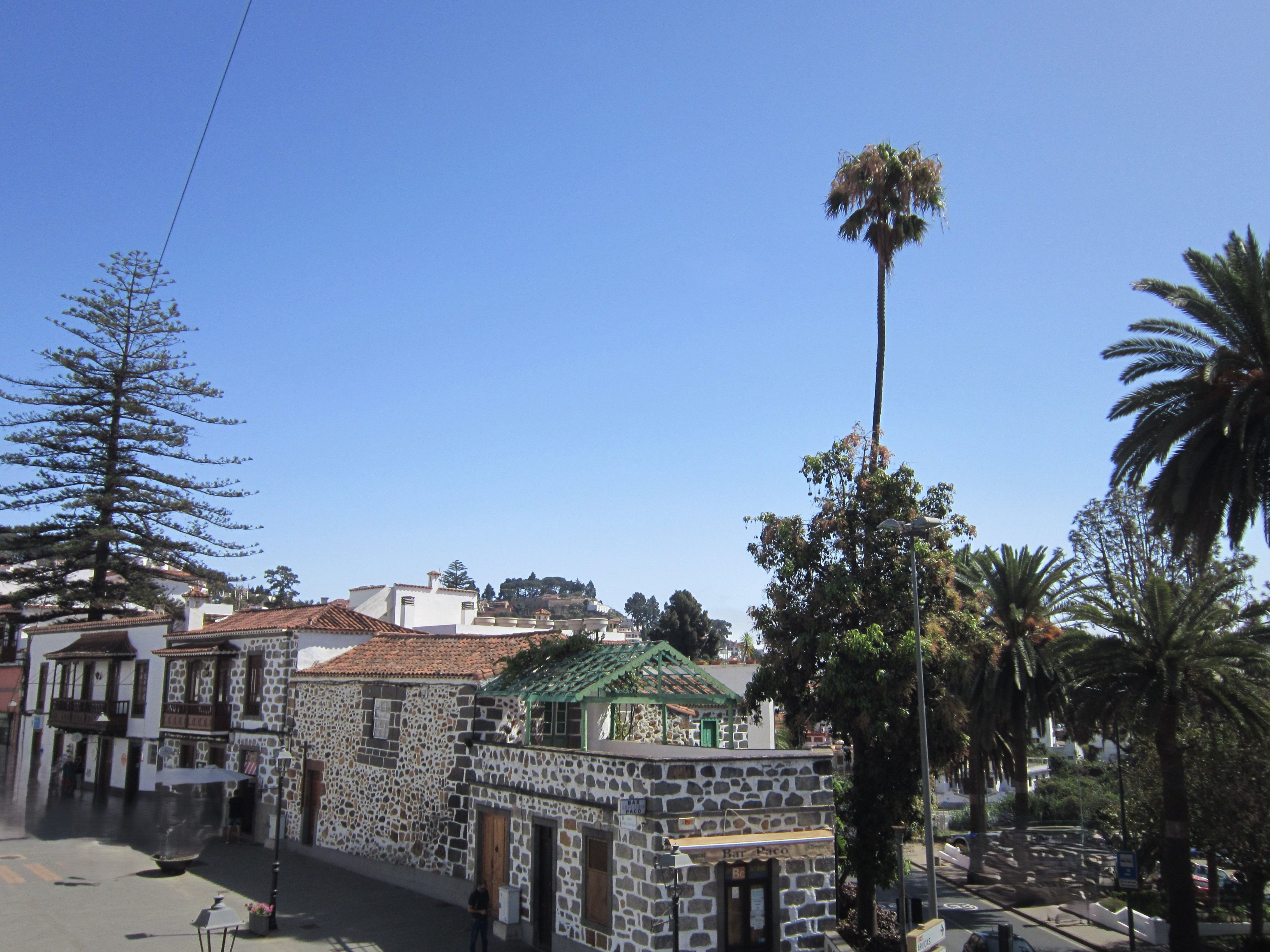 Exterior view of House or chalet for sale in Teror  with Terrace and Balcony