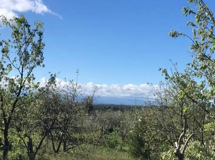 Terreni e lotti in vendita a Cuacos de Yuste, imagen 4
