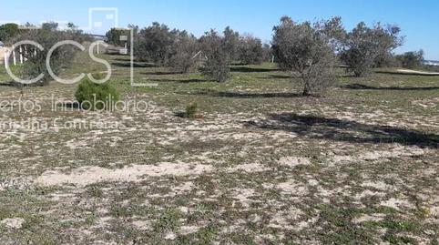 Foto 5 de Finca rústica en venta en Almonte ciudad, Huelva