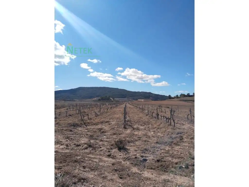 Terreno residencial en venta en Poligono 11 Paraje 135 Salobrar, imagen 5
