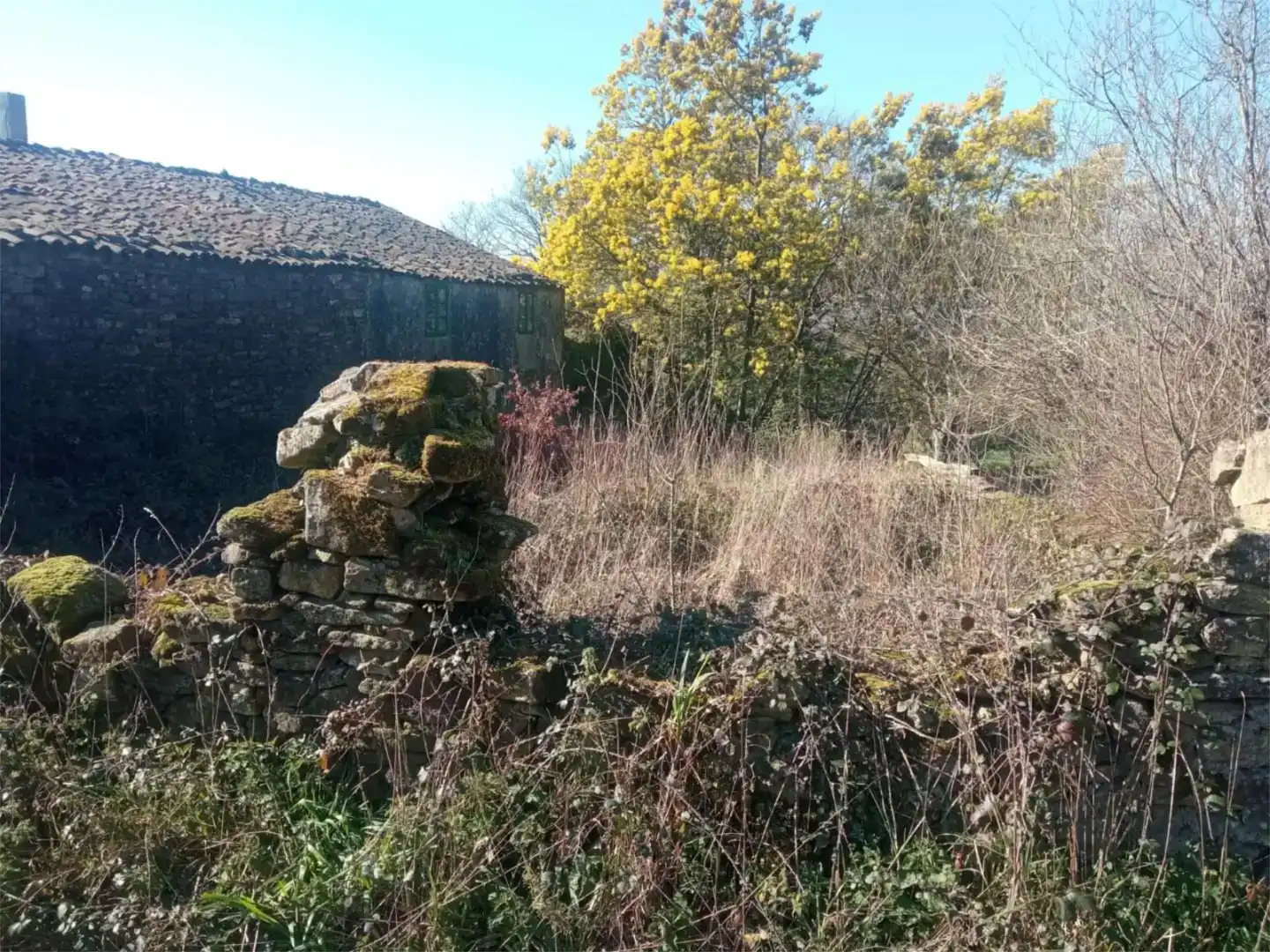 Planta baixa en venda en Monterroso, Lugo