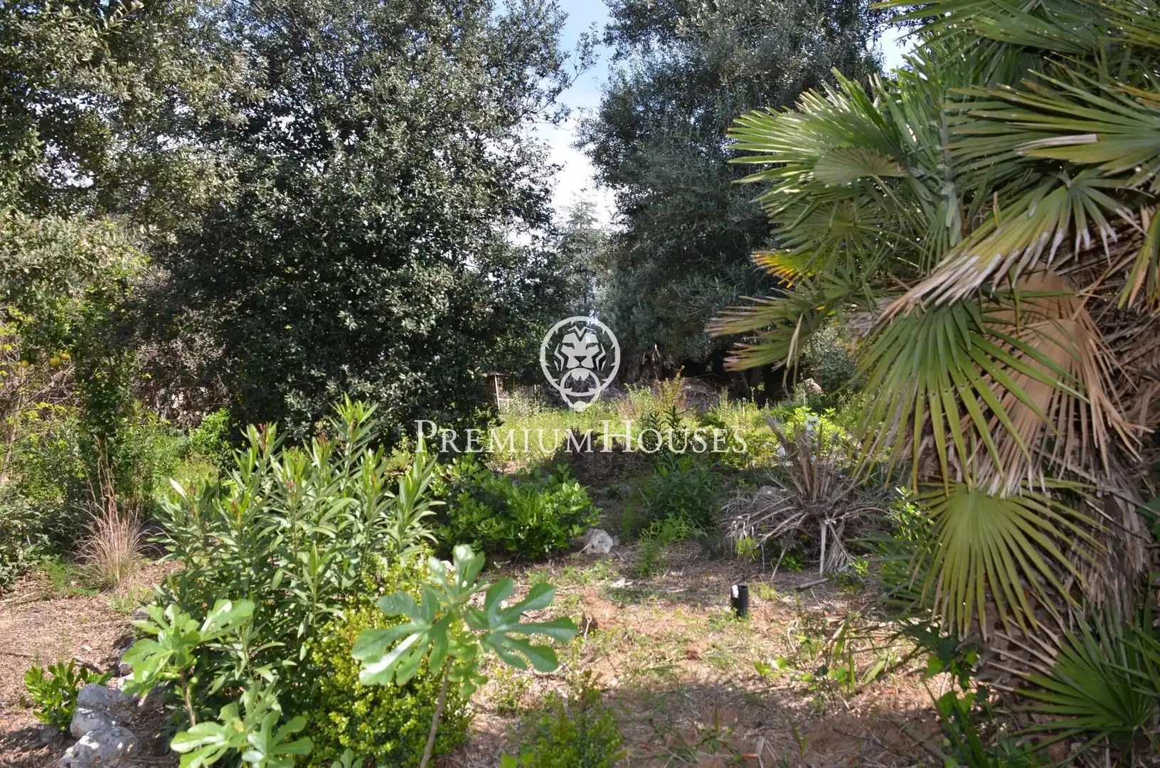 Terreno residenziale in vendita a Masnou Alt, imagen 11
