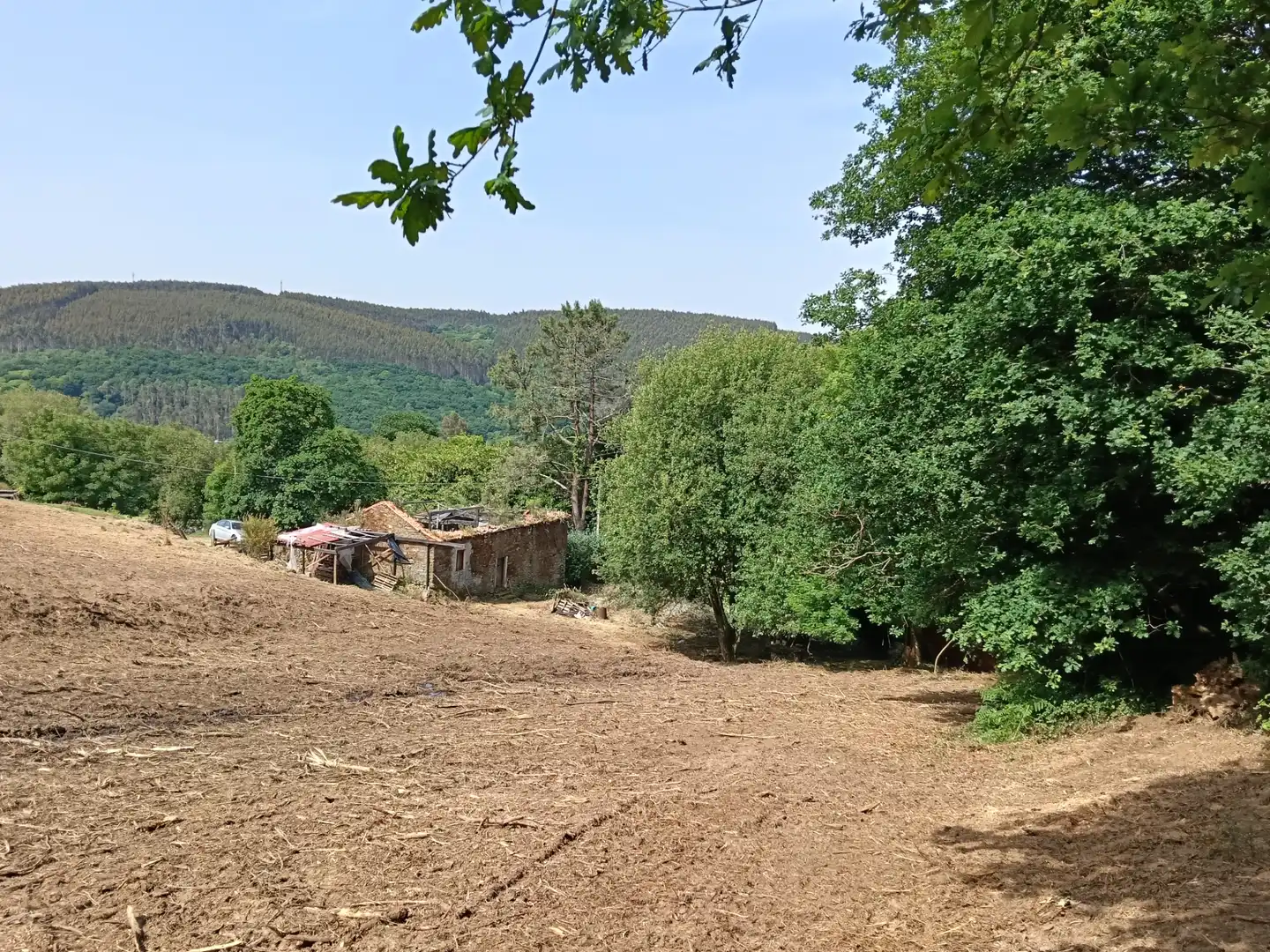 Maison avec jardin à vendre à Cesuras, imagen 17