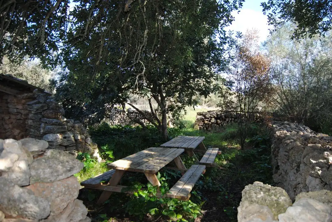 Terreno rustico in vendita a Diseminado Diseminados Var 248, imagen 6