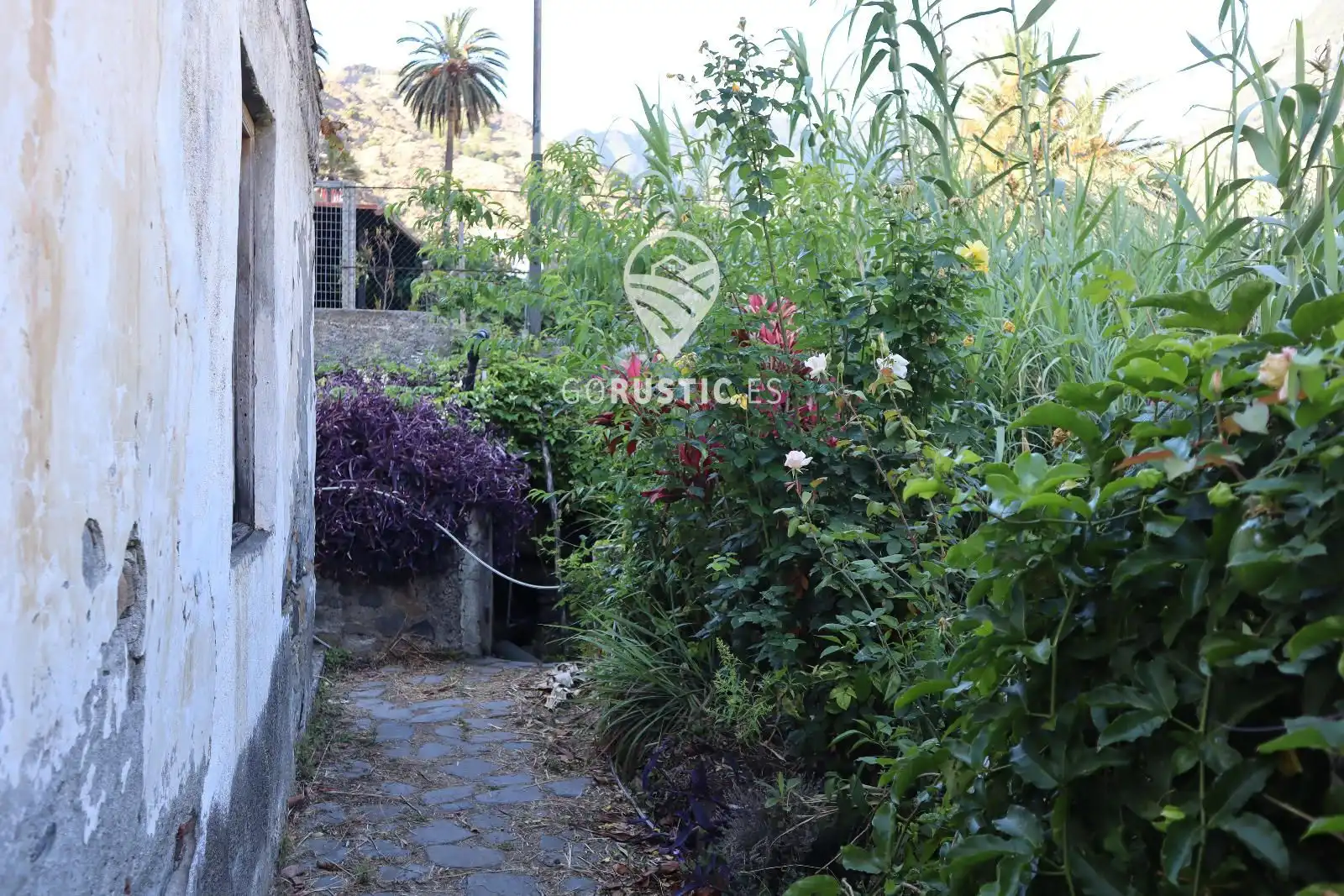 Terreno residencial en venta en Calle la Cerca, Hermigua, imagen 5