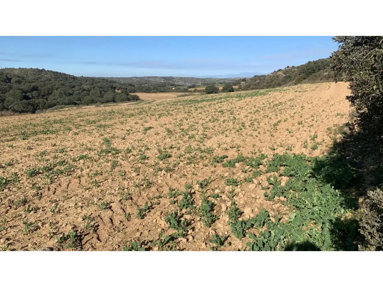 Terreno en venta en San Esteban de Litera