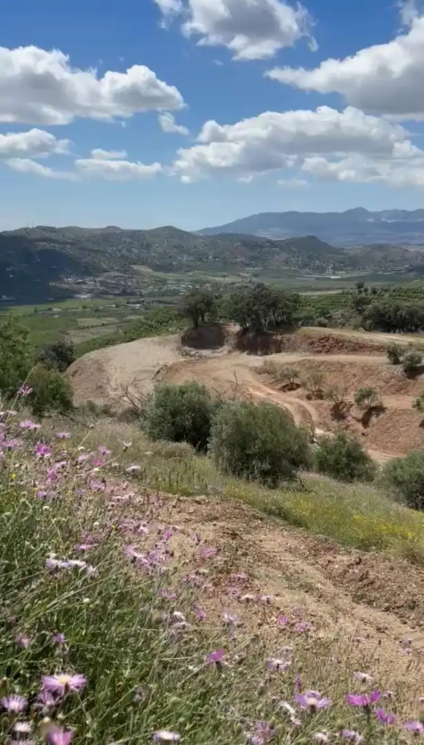 Terreni e lotti in vendita a Campanillas, imagen 4