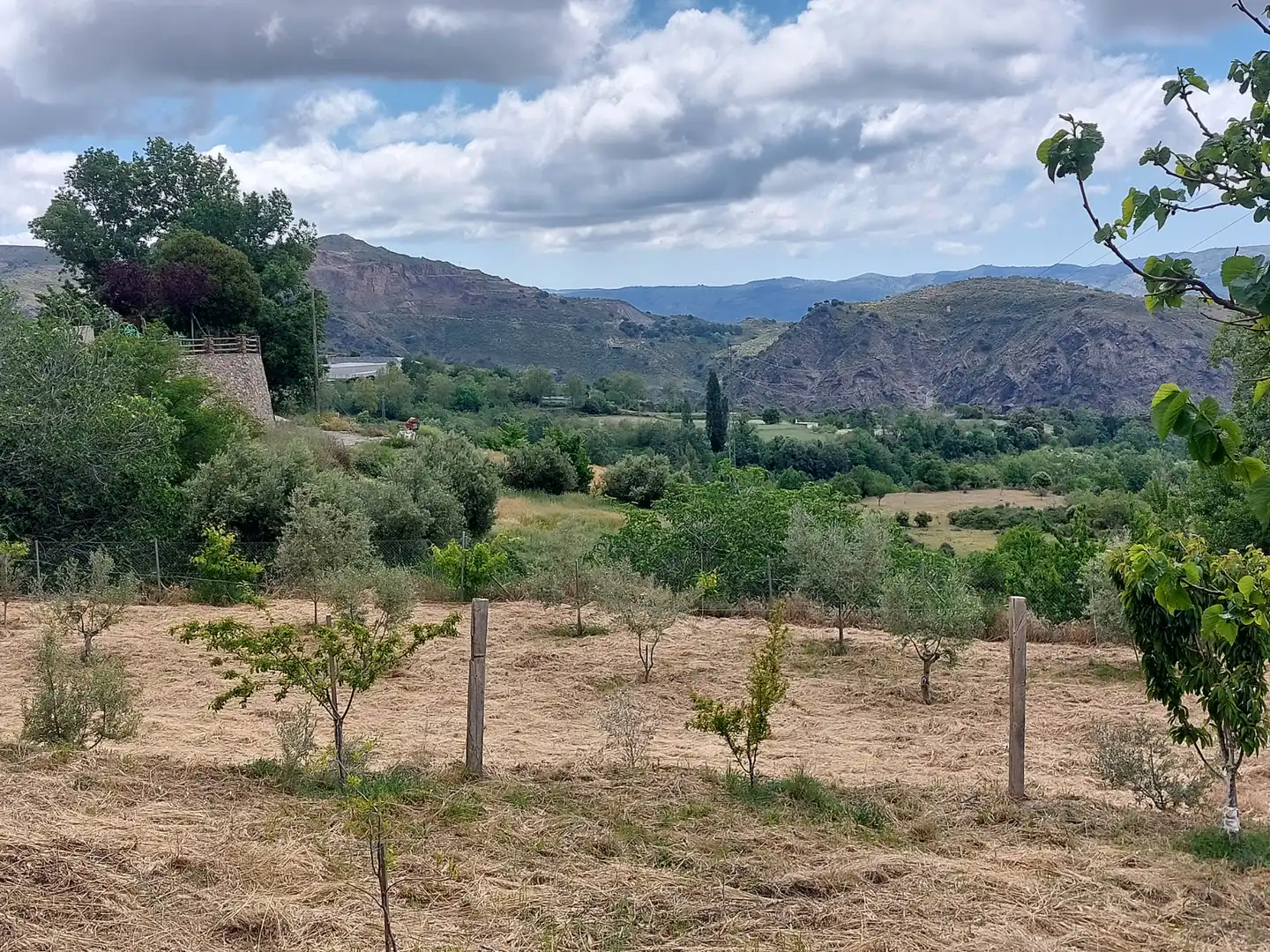 Land for sale in Pórtugos
