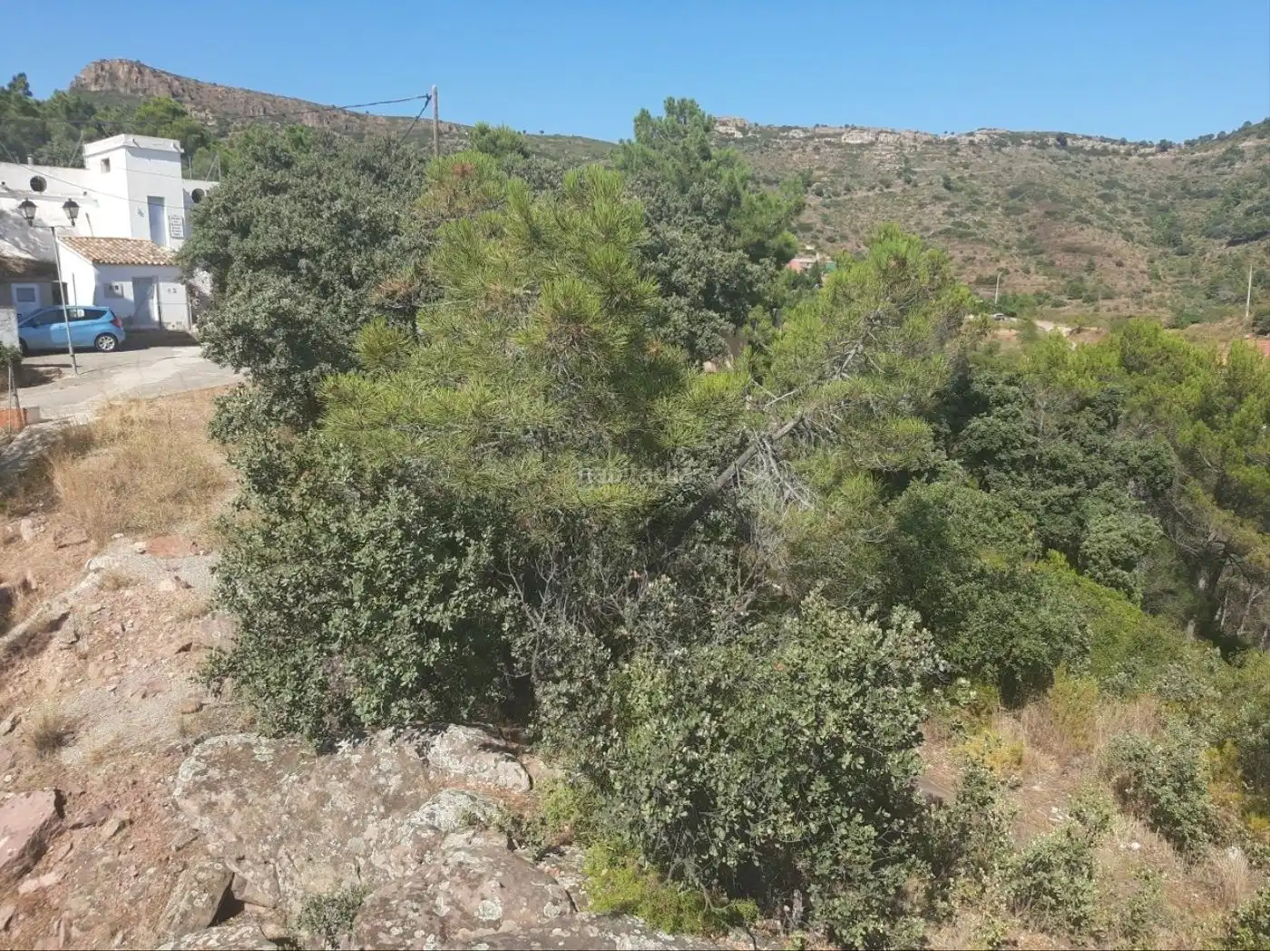 Rural land for sale in Calle Vista Alegre 14, imagen 6