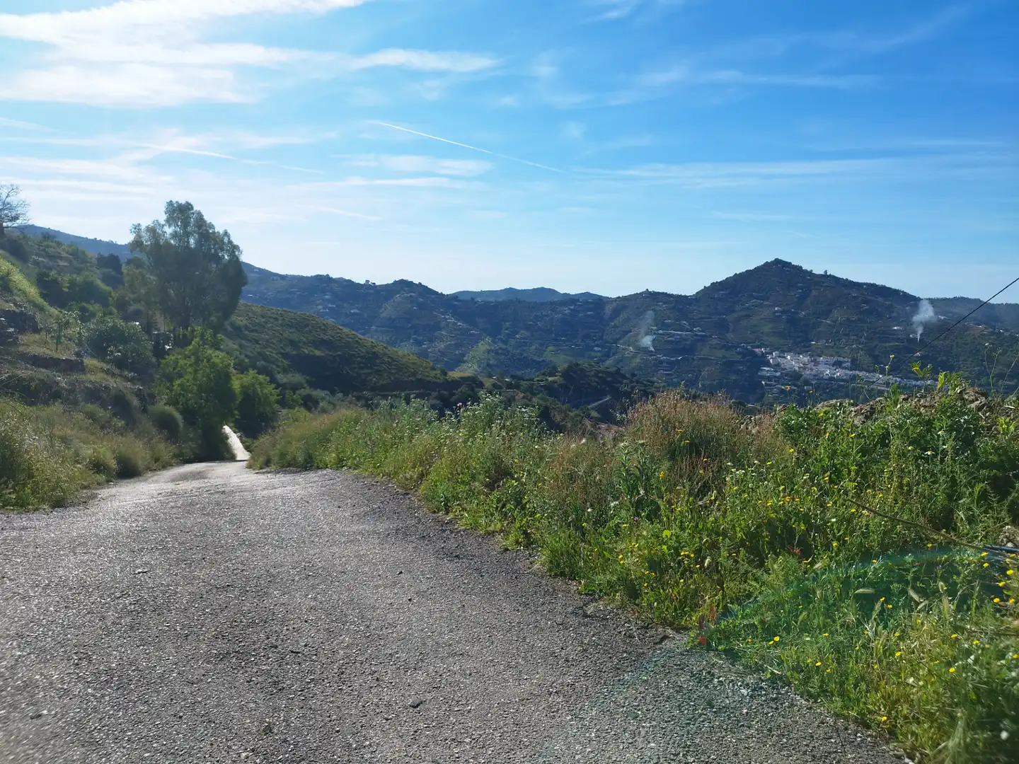 Lands and plots for sale in Arenas, imagen 7