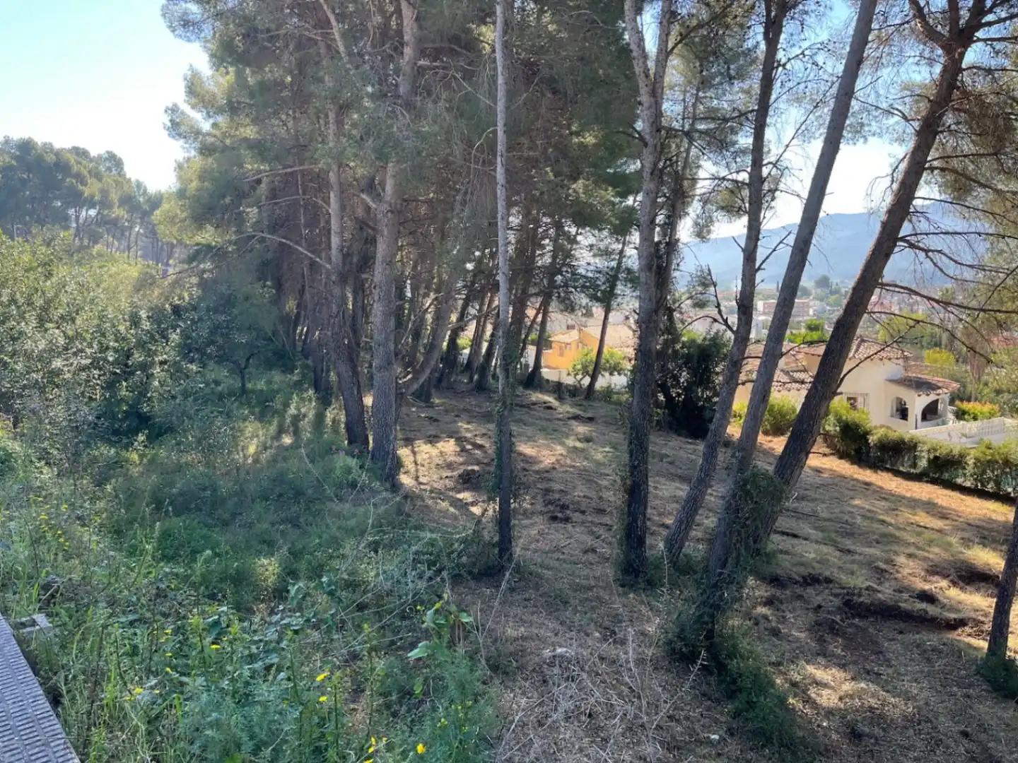 Terreny residencial en venda a Alcalalí, imagen 5
