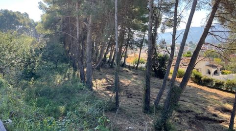 Foto 5 von Residential zum Verkauf in Alcalalí, Alicante