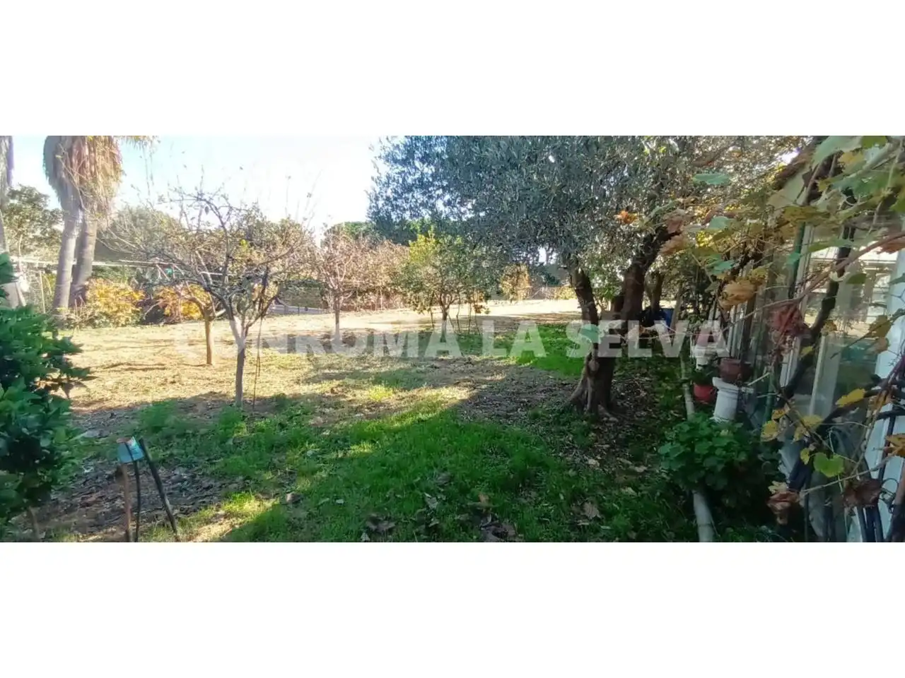 Rural land for sale in Malgrat de Mar, imagen 2