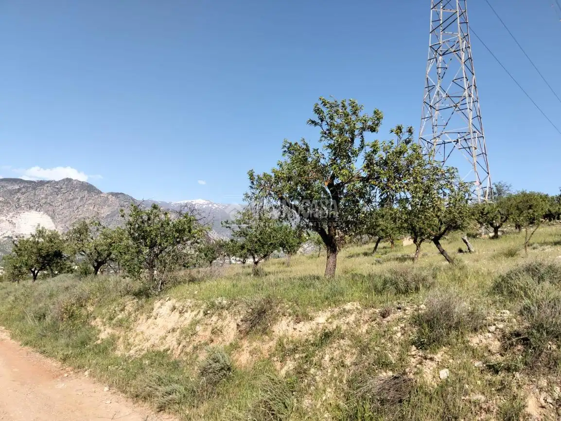 Rural land for sale in Dúrcal, imagen 22