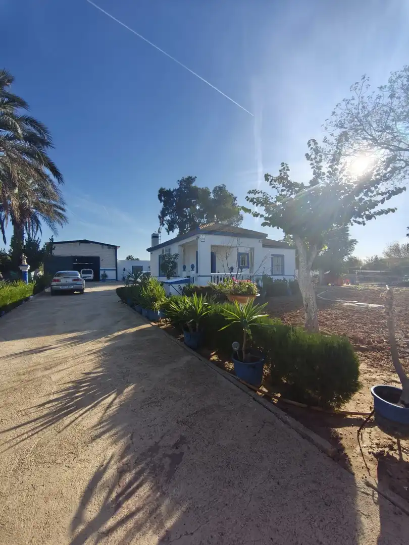 Vista exterior de Terreno en venta en Carmona, Sevilla