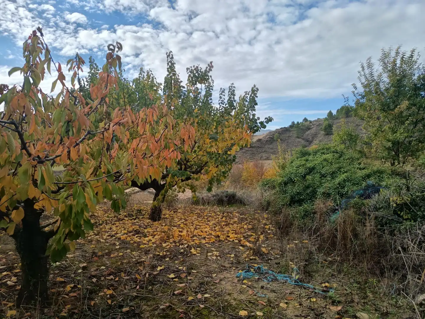 Casa o chalet en venta en Sada (Navarra)