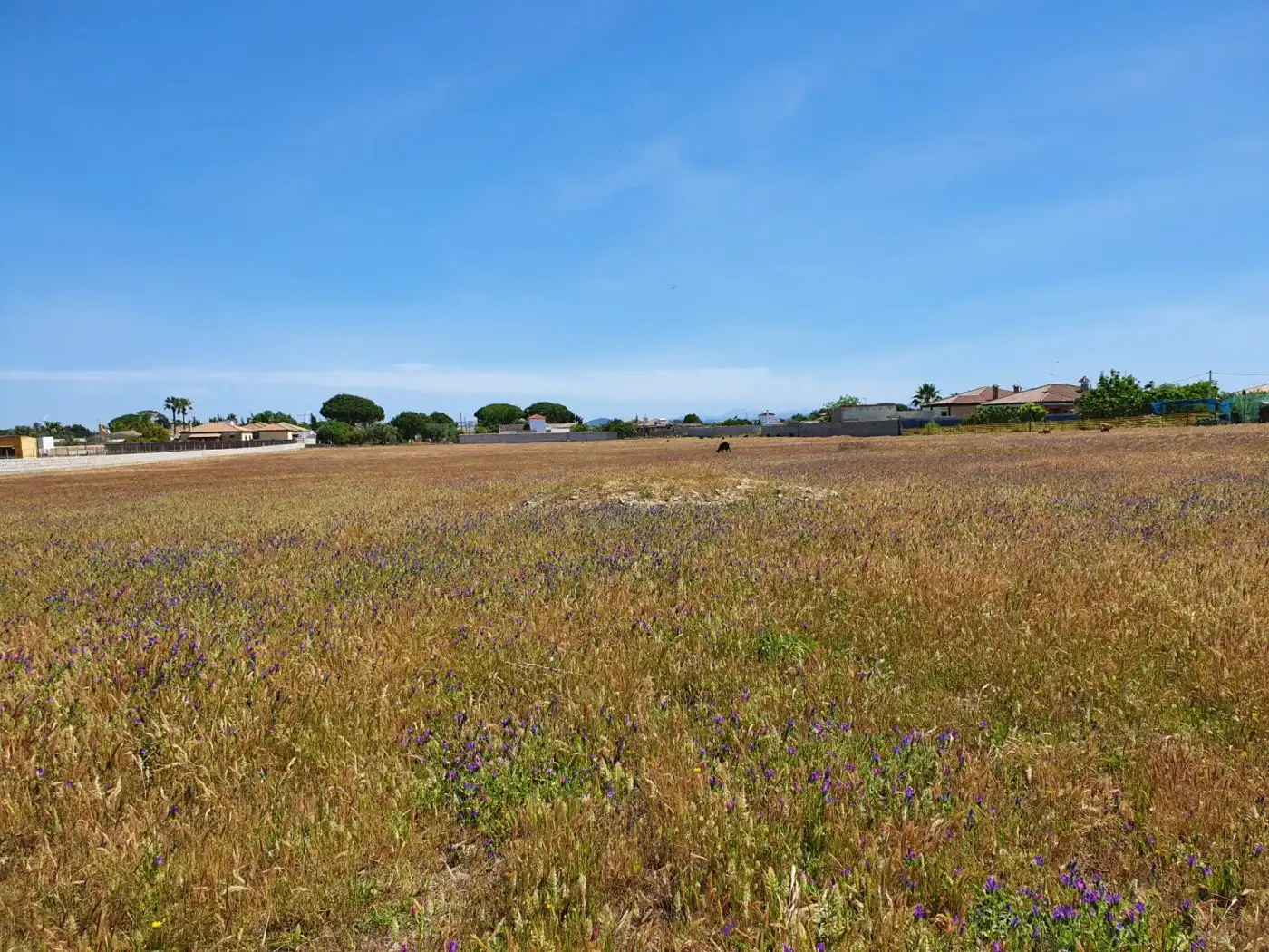 Terreno residencial en venta en Pelagatos - Pago del Humo