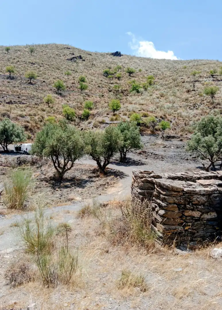 Rural land for sale in Calle Almeria, imagen 2