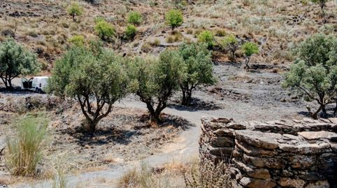 SE VENDE TERRENO DE 24.000 M2, immagine 2