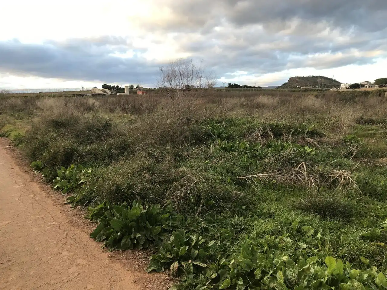 Lands and plots for sale in Corralet - Bonanza - Tres Rutas, imagen 6