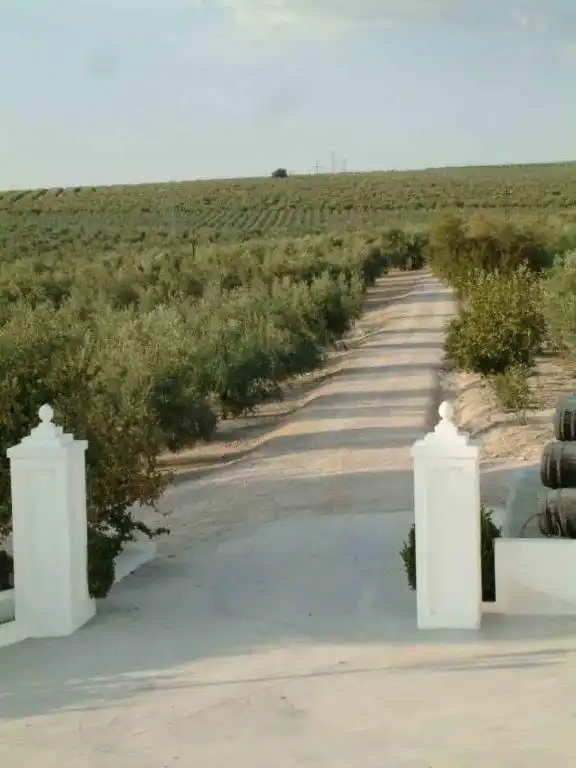 Vista exterior de Finca rústica en venta en Lucena con Jardín privado, Terraza y Piscina