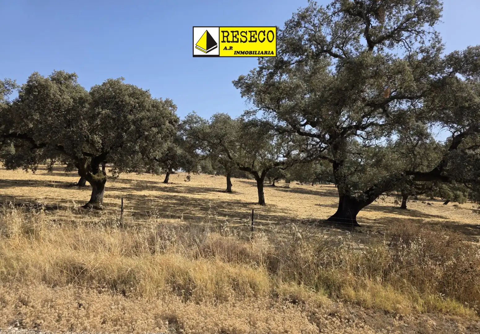 Rural land for sale in Sur