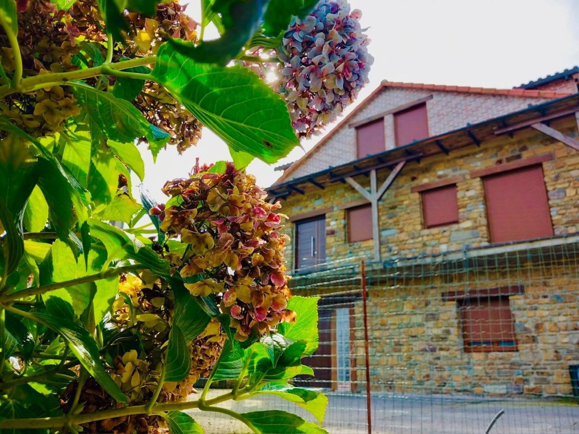 Exterior view of Country house for sale in Cudillero  with Heating, Terrace and Balcony