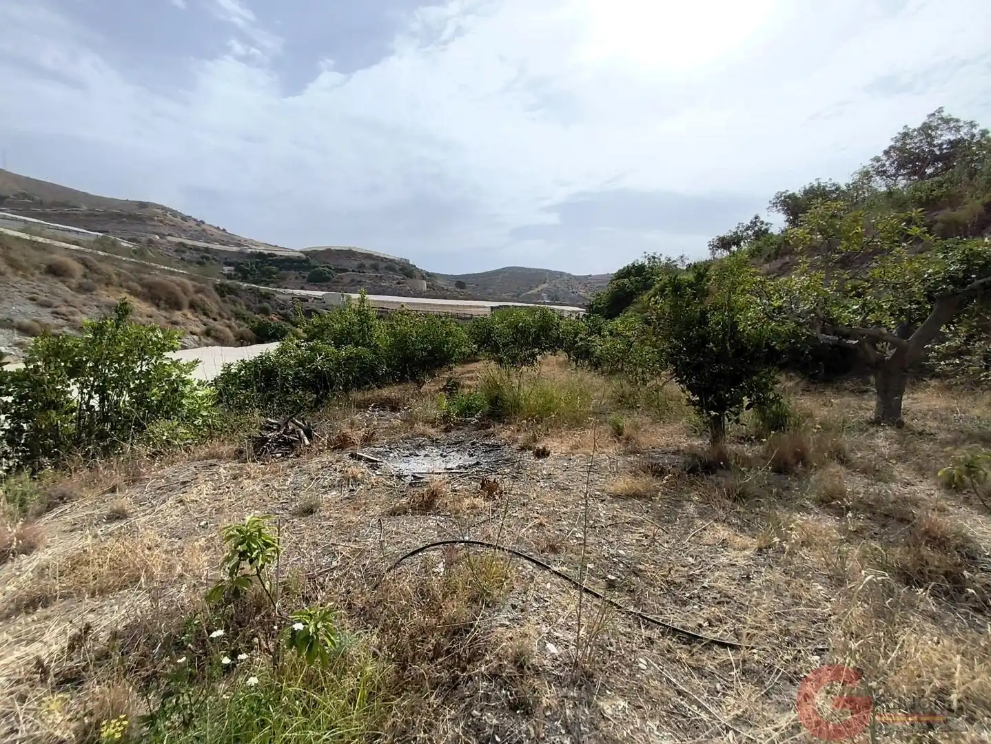Finca rústica en venda en Motril amb Terrassa i Piscina
