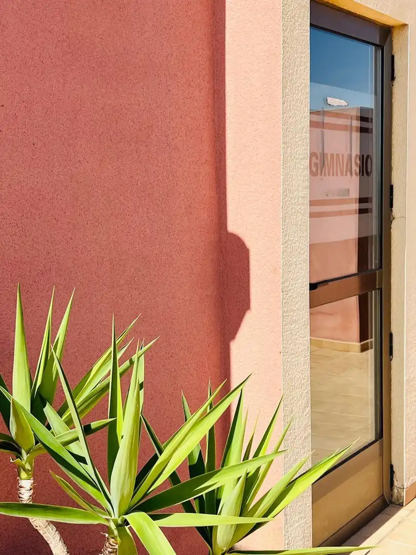 Wohnungen zum Verkauf in Calle de Perragorda, 27, Formentera del Segura