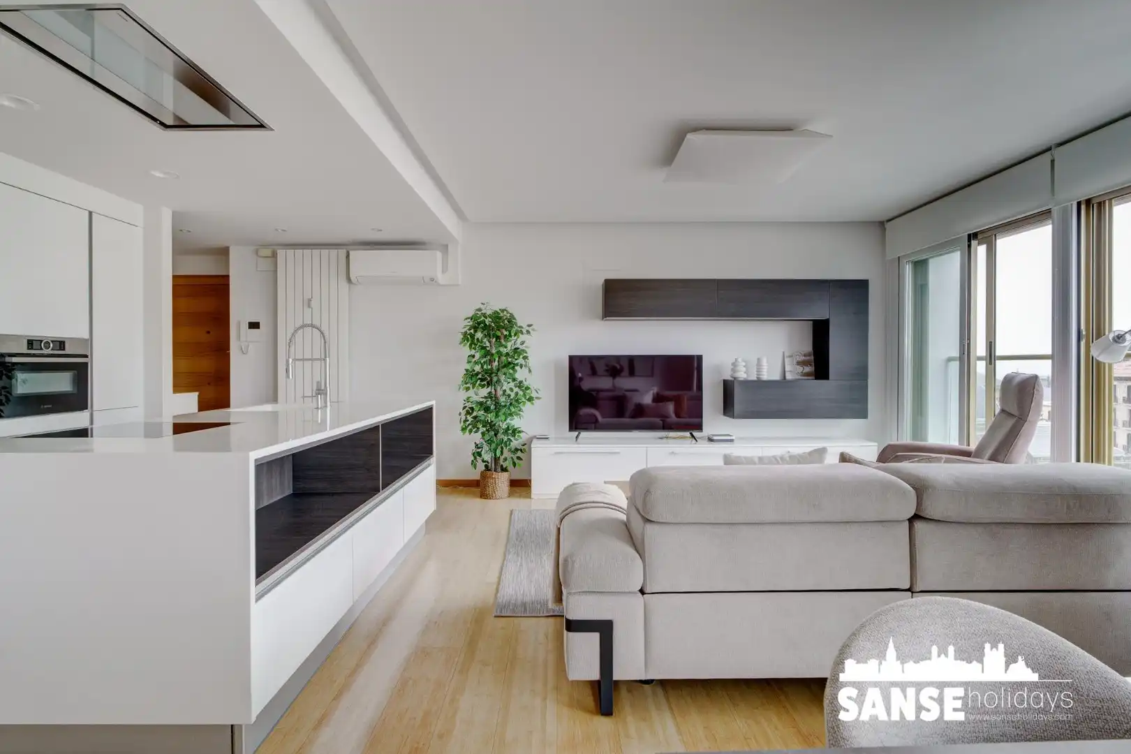 Sala de estar de Piso de alquiler en Donostia - San Sebastián 