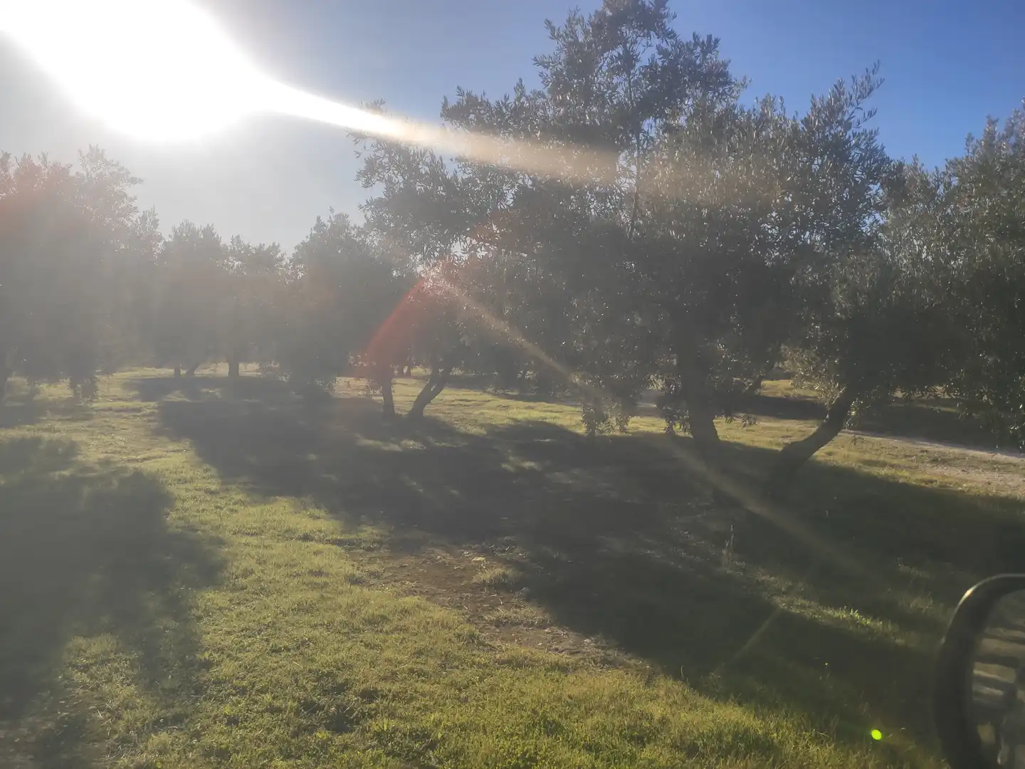 Terrain rustique à vendre à Baena, imagen 3