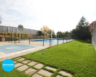 Swimming pool of Flat to rent in Paracuellos de Jarama