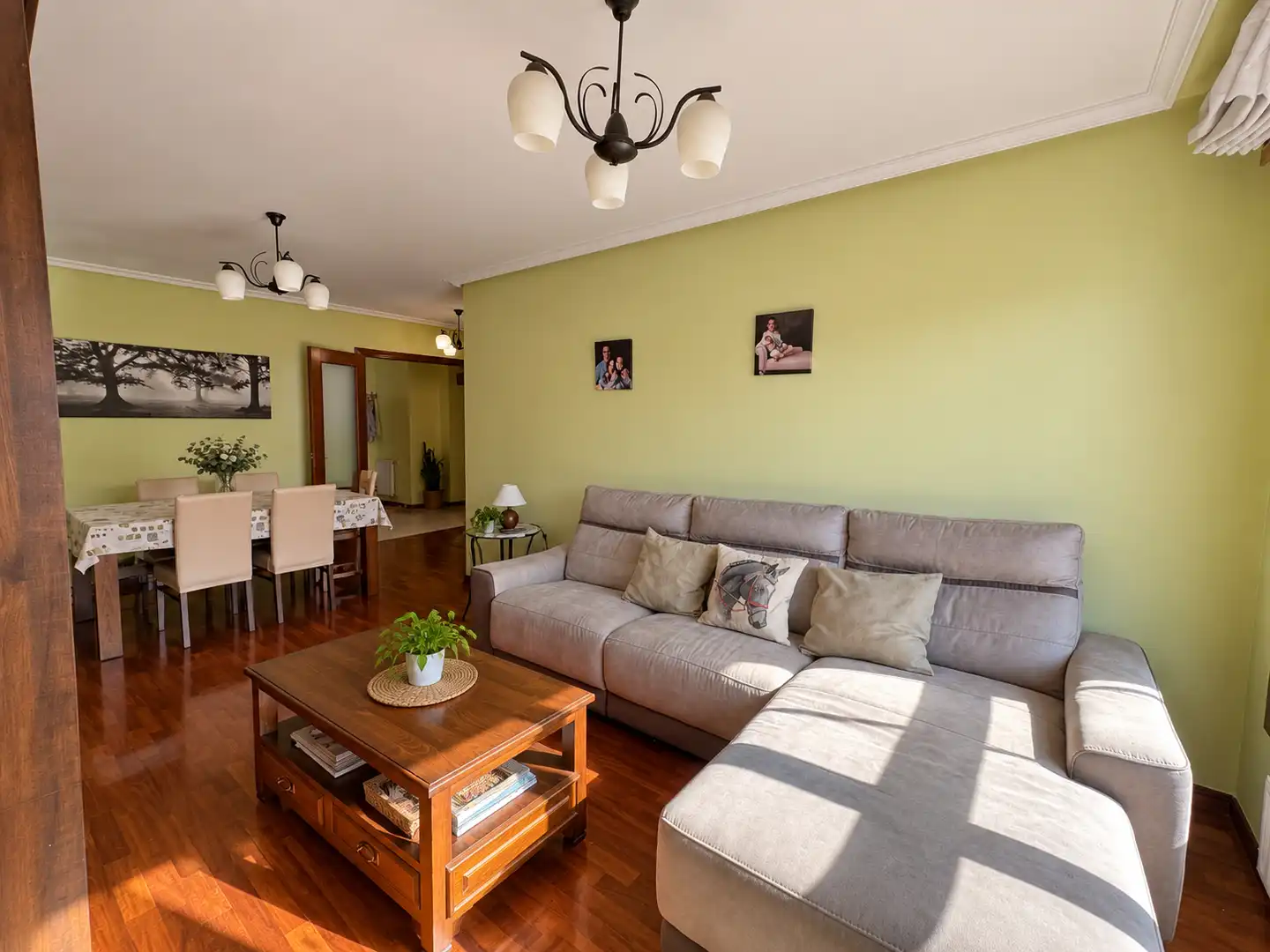 Flat with garden for sale in Parque del Oeste - Olivares, imagen 5