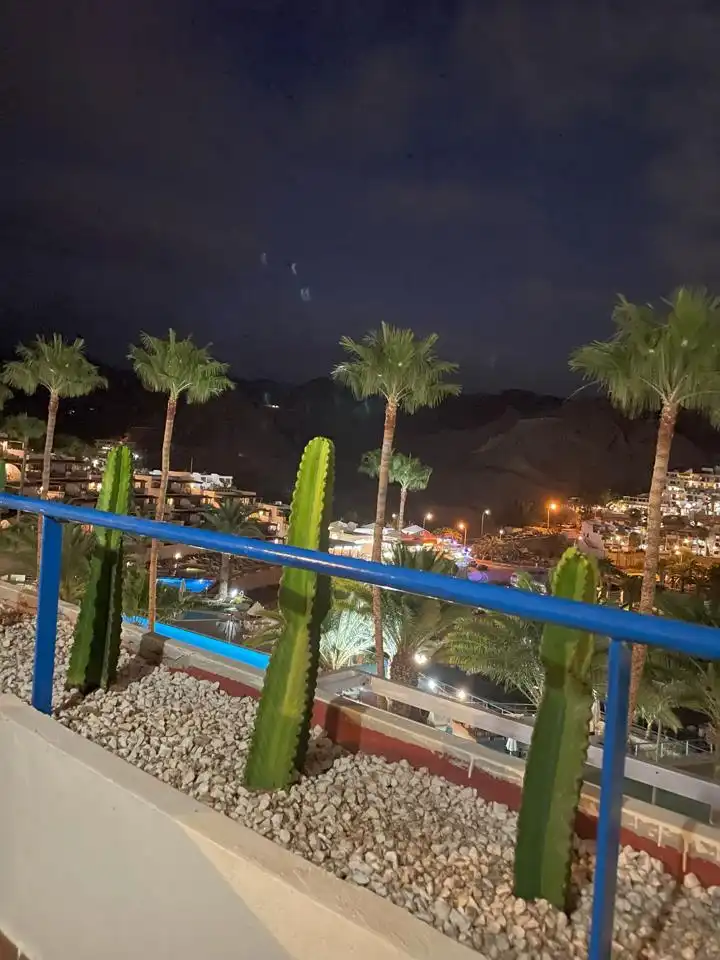 Appartamento con terrazza in affitto a Petrel, imagen 10
