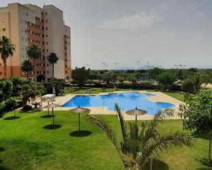 Swimming pool of Flat for sale in Guardamar del Segura  with Air Conditioner, Terrace and Balcony