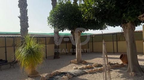Foto 3 de Casa o chalet en venta en La Foia - Daimés - Asprella, Elche / Elx