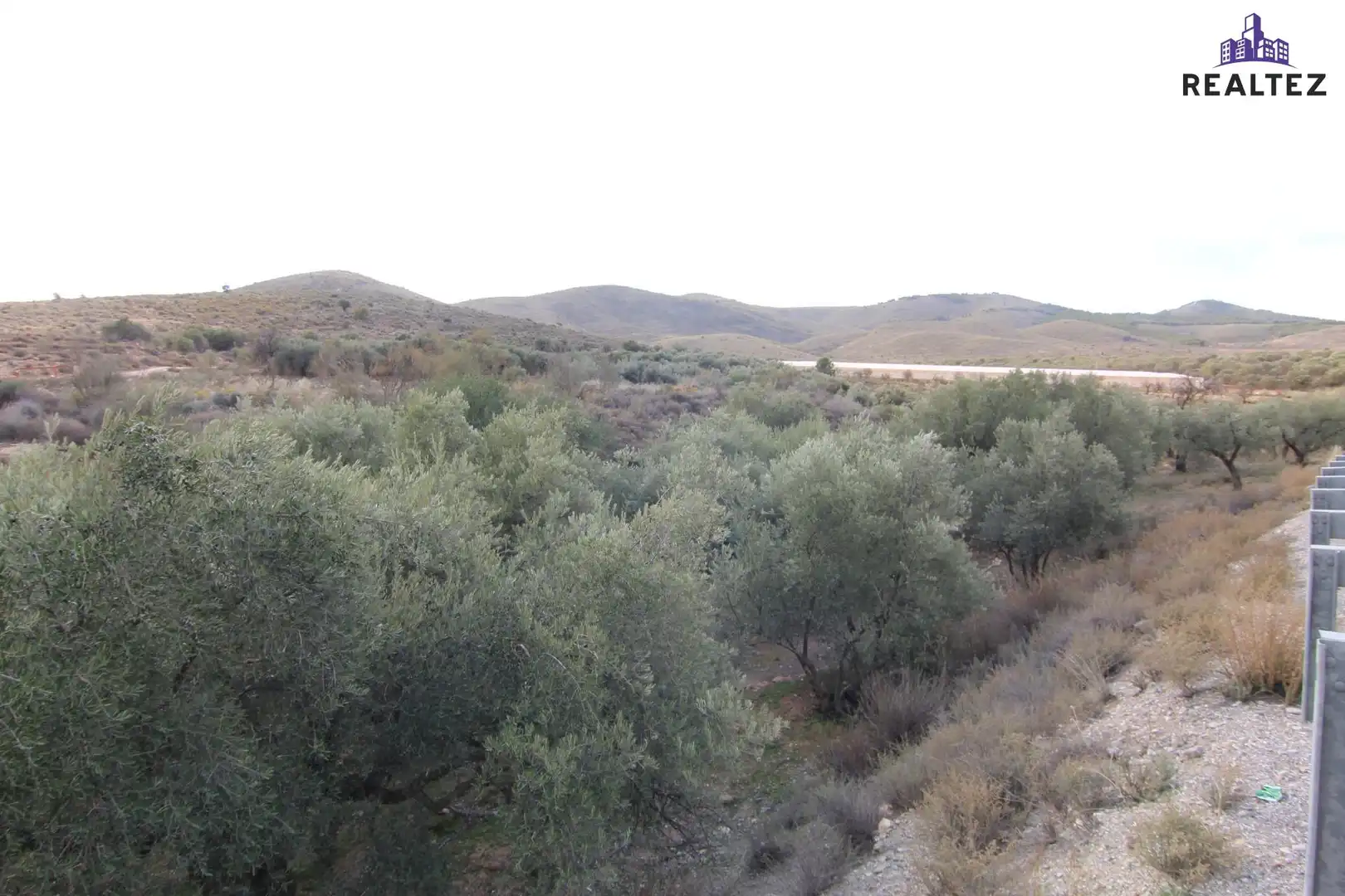 Terrain rustique à vendre à Alcolea, imagen 9