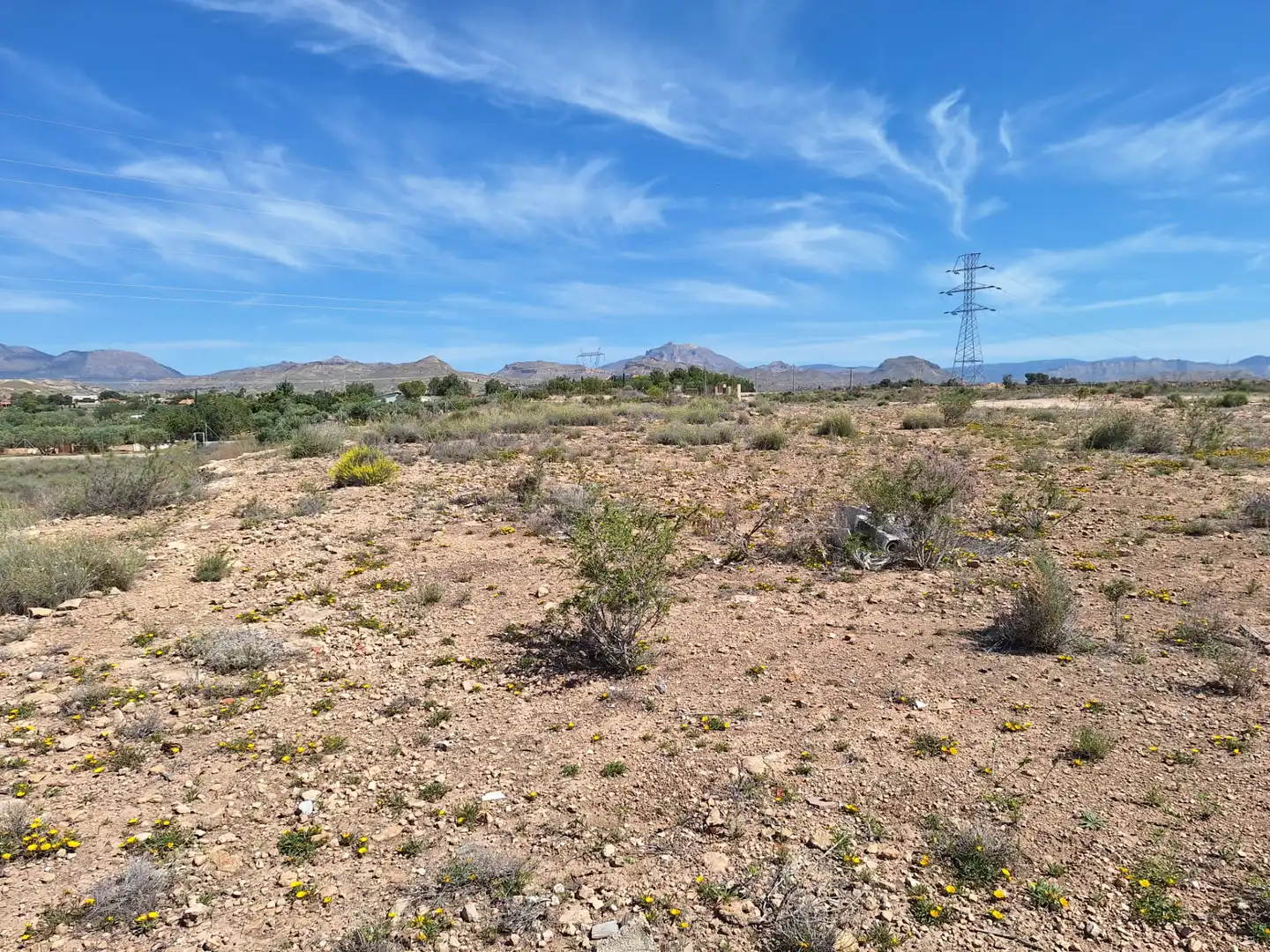 Rural land for sale in Los Girasoles, imagen 10