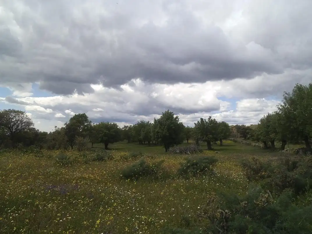Residencial en venda en Valdemorillo