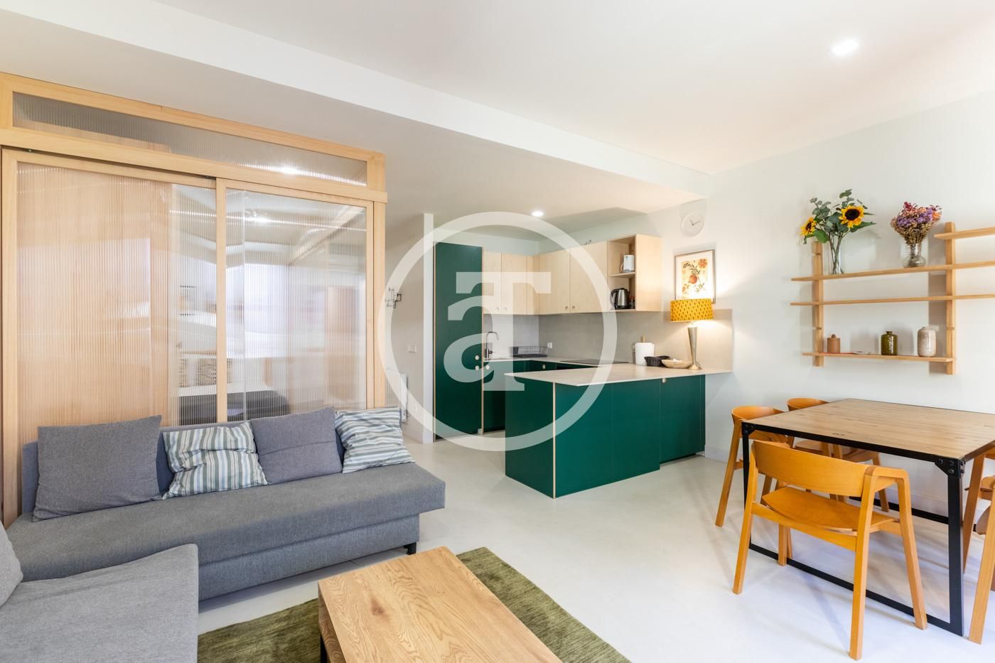 Living room of Flat to rent in  Madrid Capital  with Air Conditioner, Heating and Furnished