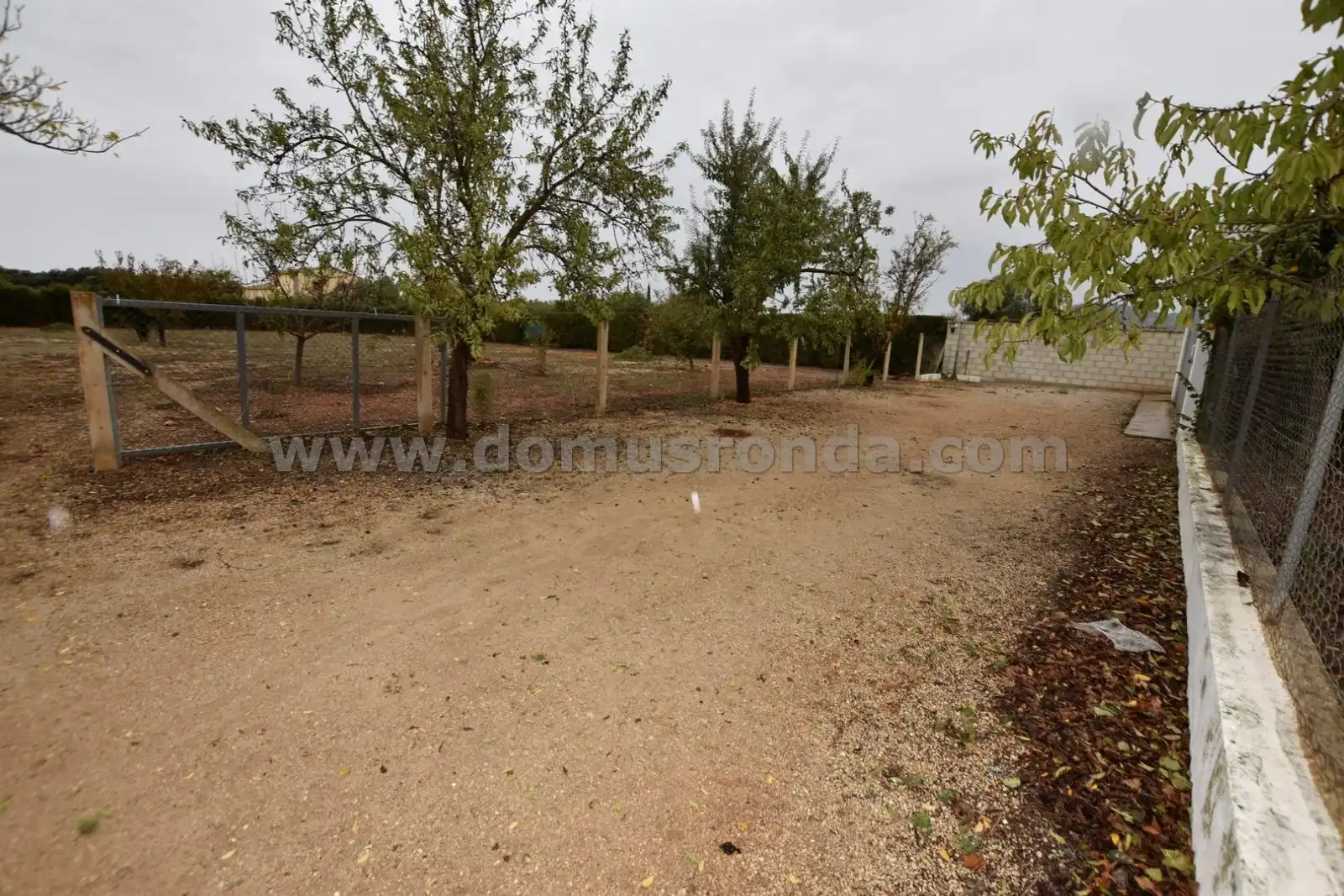 Casa rústica con piscina en venta en Partidas Norte, imagen 27