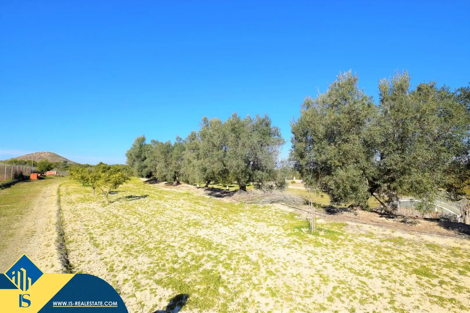 Casa con piscina en venta en Rojales, imagen 9